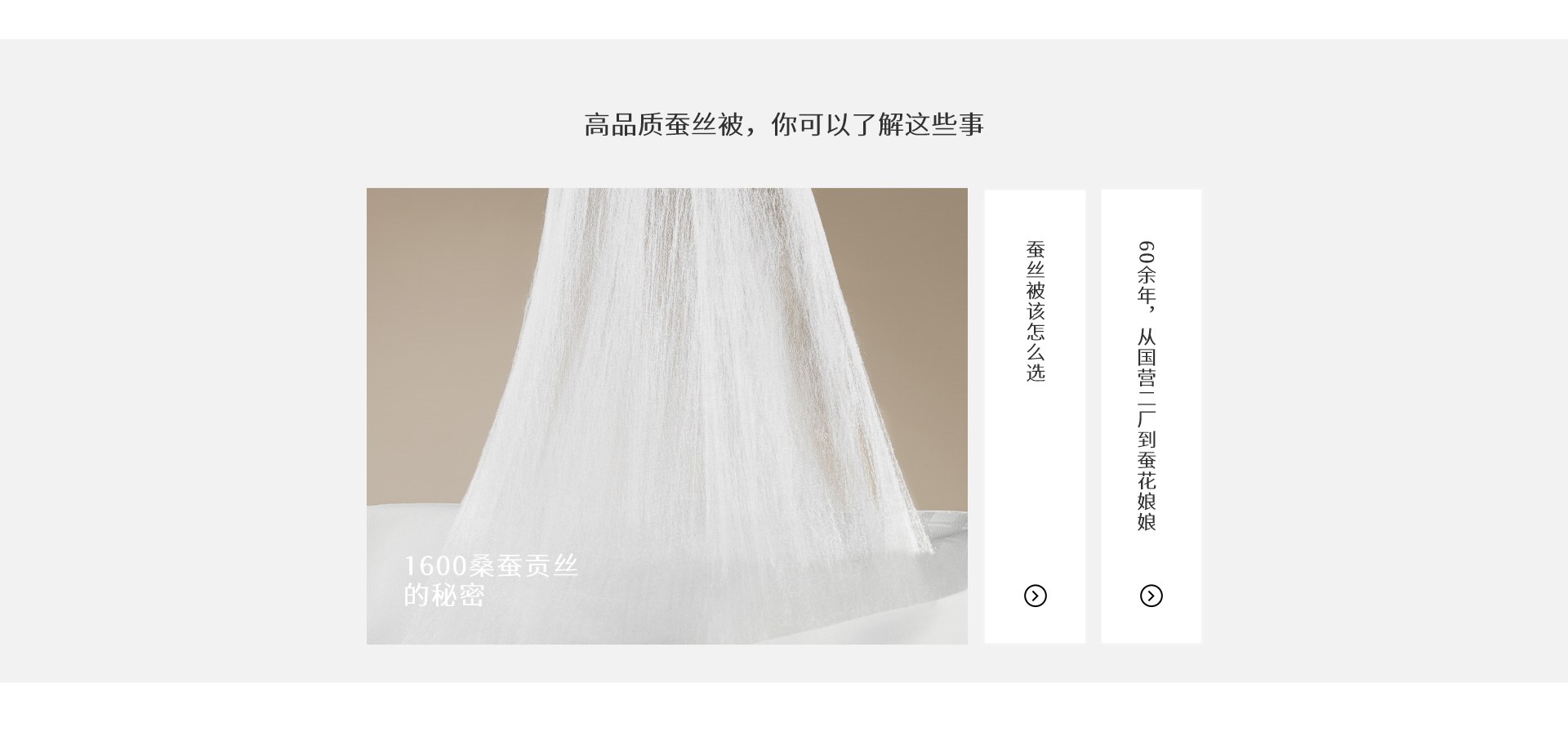1600颗蚕吐丝的秘密